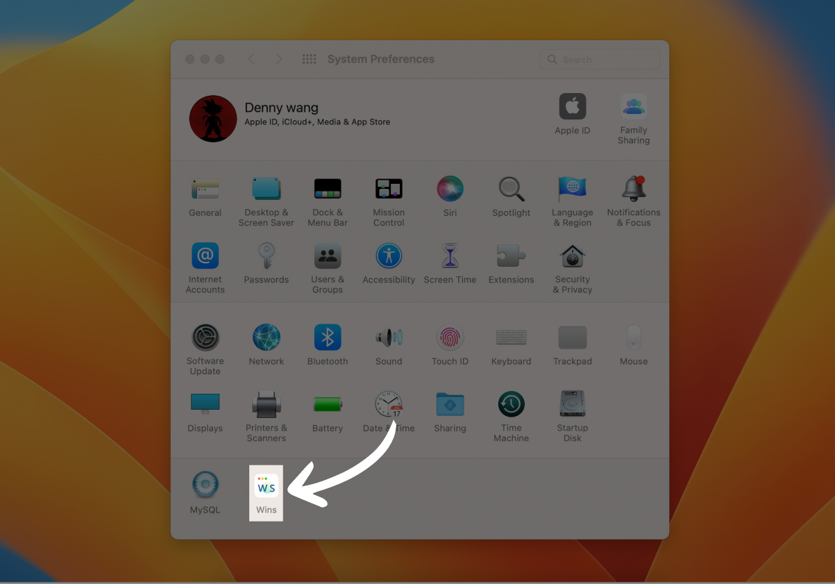 Wins Window Manager for Mac